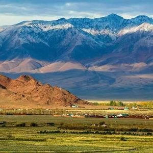 Meet your Posher, Shur suvd